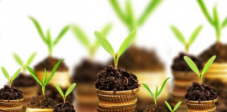 Sustainable Investment